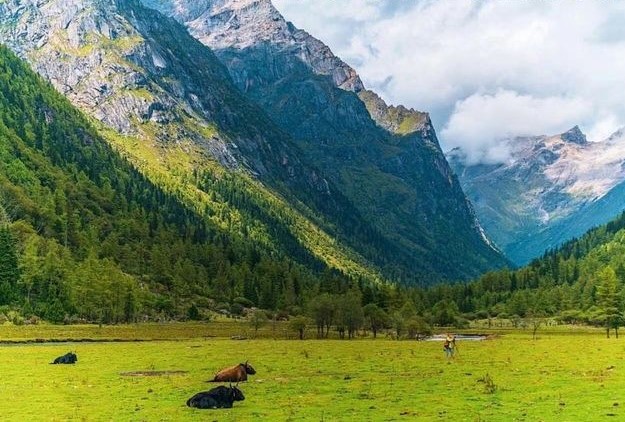 mount-siguniang-summer mount-siguniang-summer