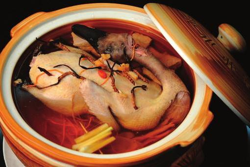 Cordyceps-Stewed-Duck-01 Cordyceps-Stewed-Duck-01