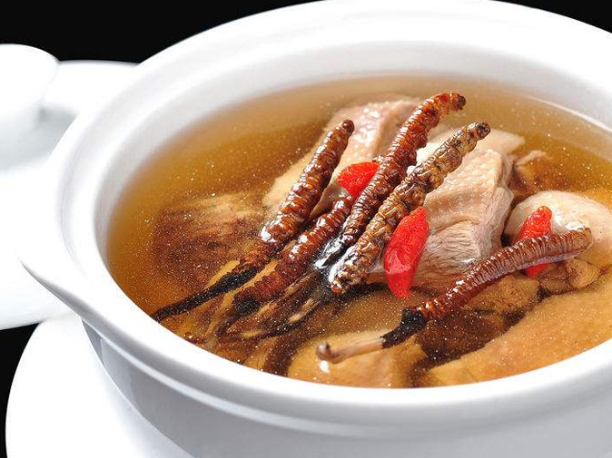 Cordyceps-Stewed-Duck Cordyceps-Stewed-Duck