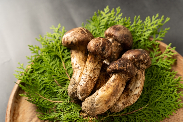 Matsutake-Mushroom-01 Matsutake-Mushroom-01