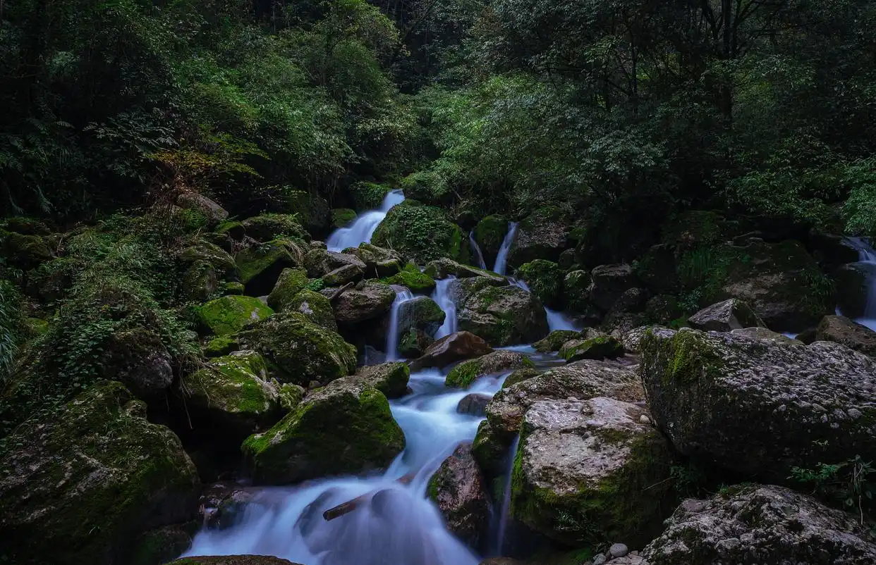 Santang-Misty-Spring Santang-Misty-Spring