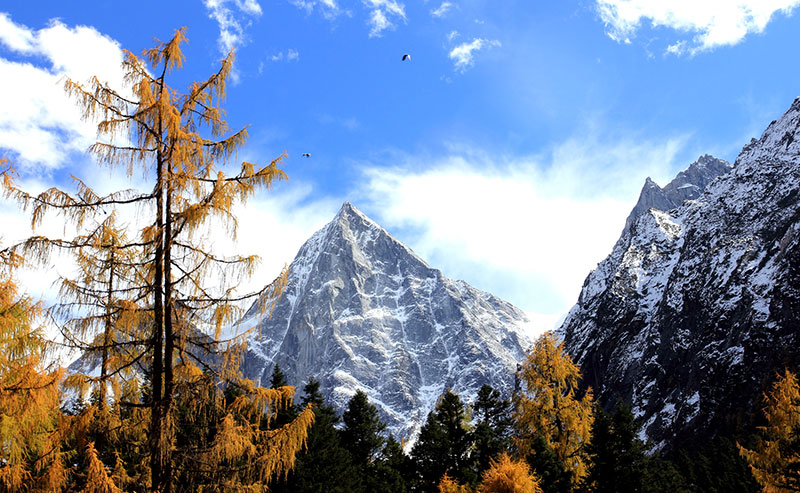 Bipenggou-Valley-01 Bipenggou-Valley-01