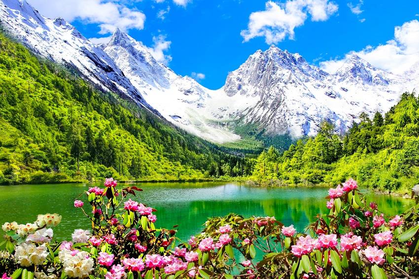 Spring-in-Bipenggou-1 Spring-in-Bipenggou-1