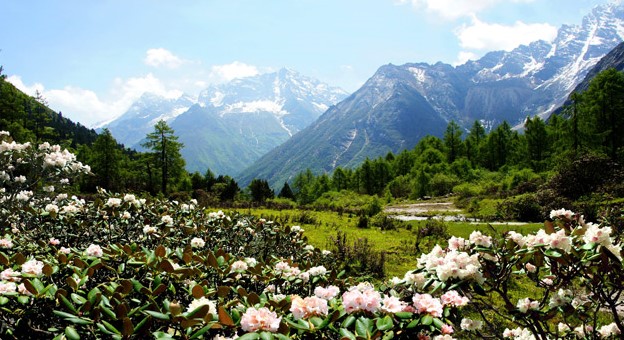 Spring-in-Bipenggou Spring-in-Bipenggou