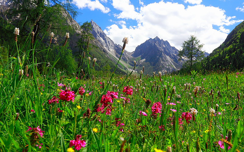 Swallow-Rock-01 Swallow-Rock-01