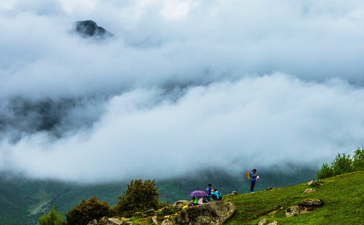 Dajian-Bao-01 Dajian-Bao-01