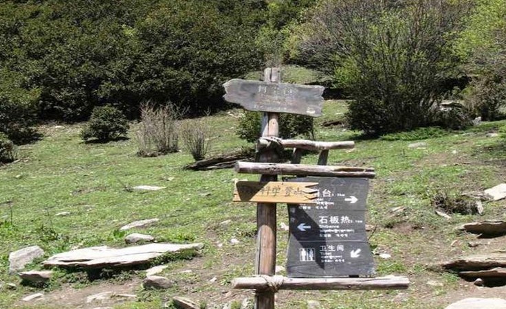 Dajian-Bao Dajian-Bao