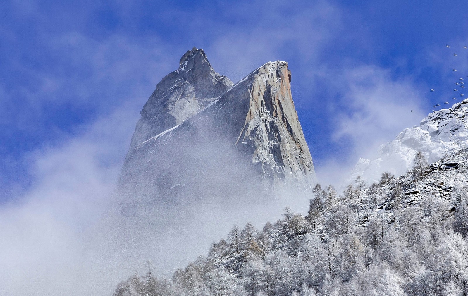 Eagle-Beak-Rock Eagle-Beak-Rock