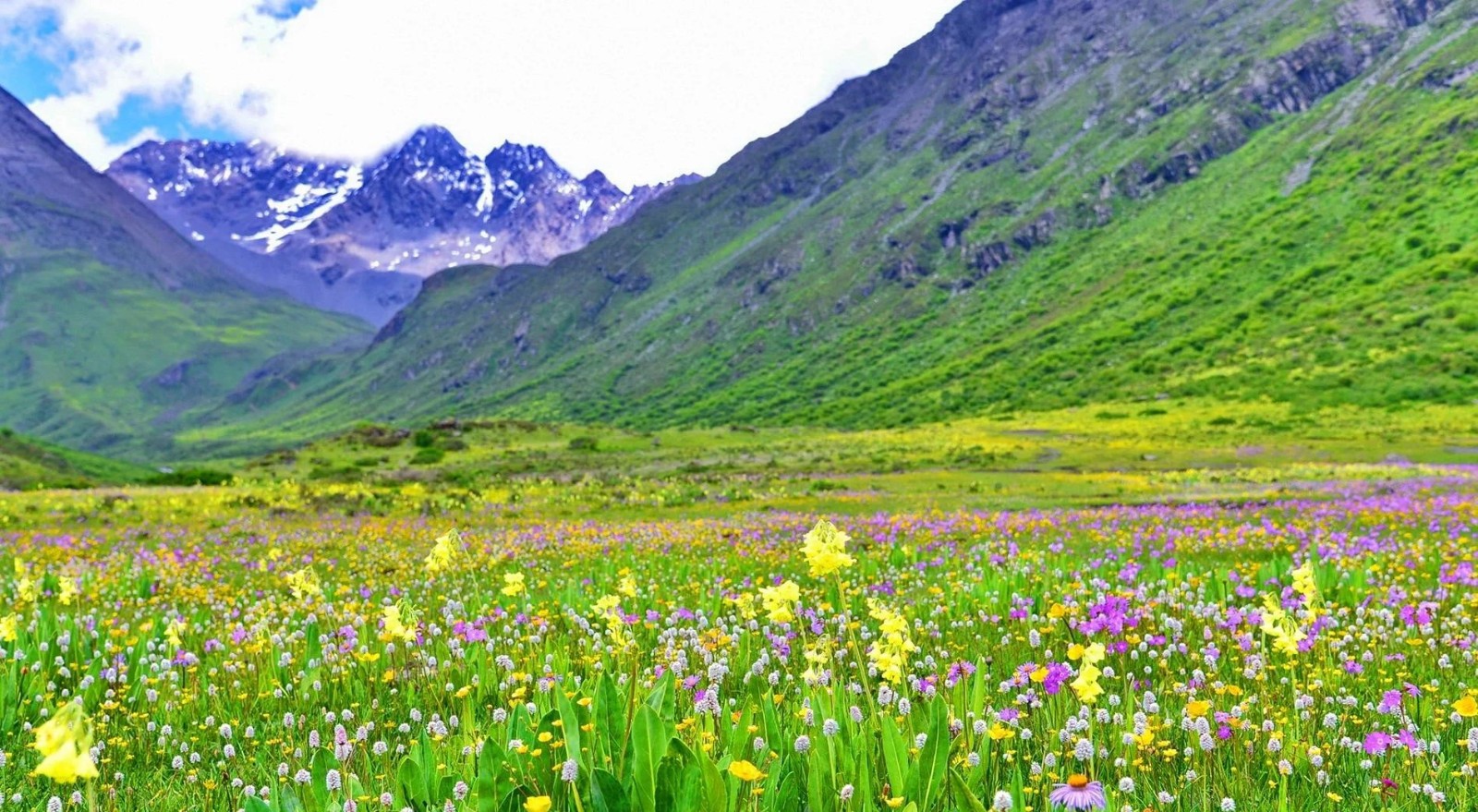 Huahaizi-01 Huahaizi-01