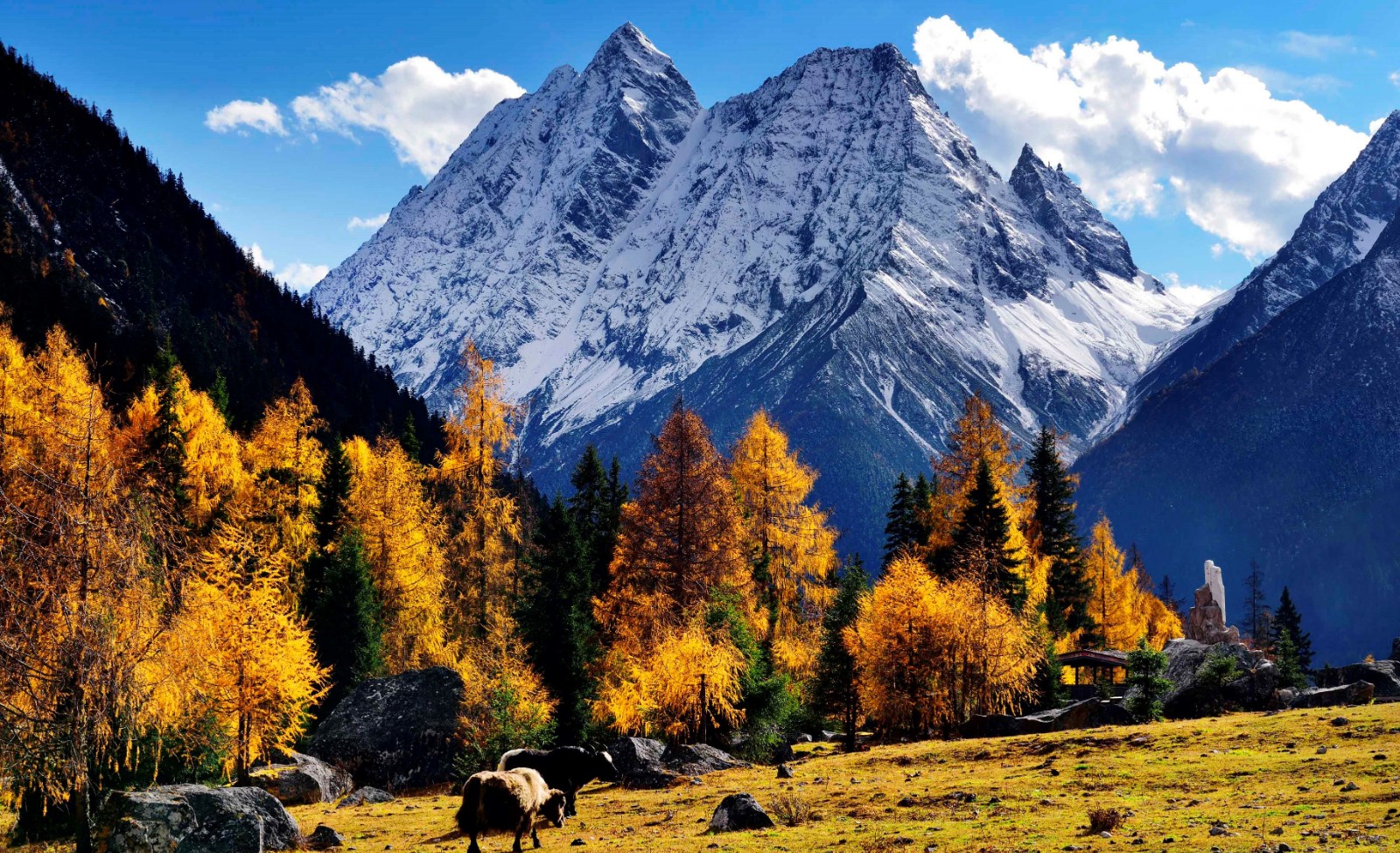 Hunter-Peak Hunter-Peak