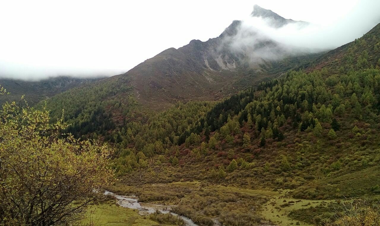 Laoniu-Yuanzi-01 Laoniu-Yuanzi-01