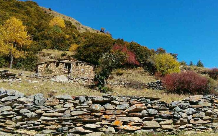 Laoniu-Yuanzi Laoniu-Yuanzi