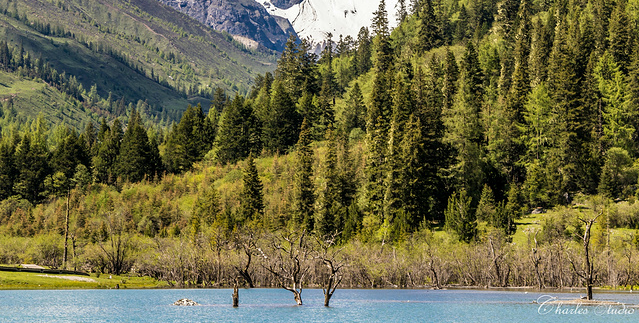 Siguna-Lake-01 Siguna-Lake-01