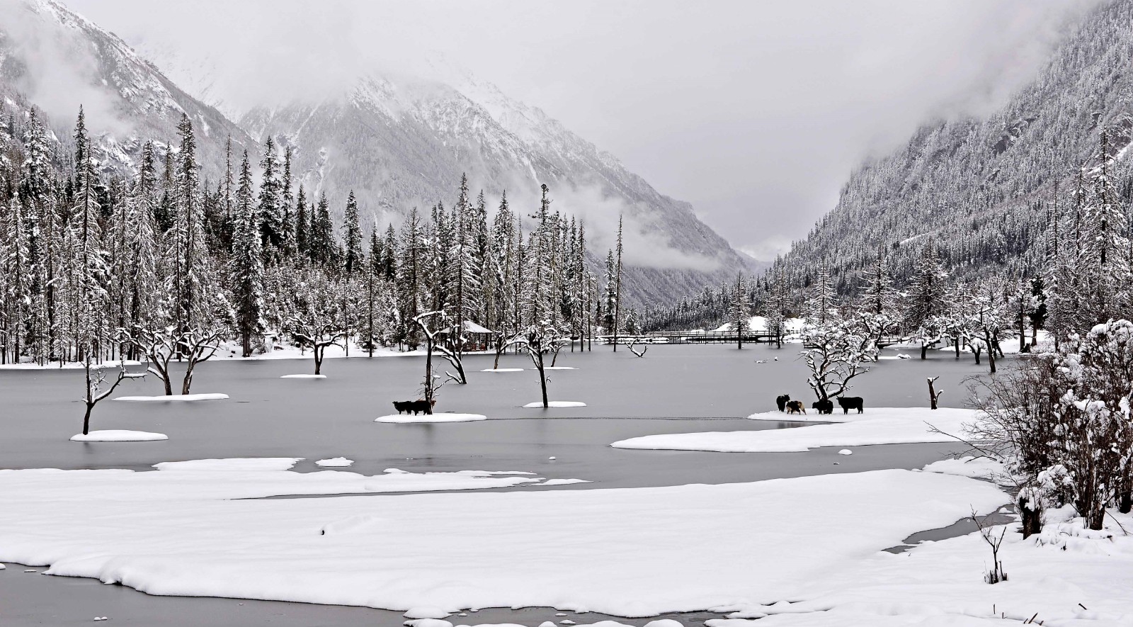 Siguna-Lake Siguna-Lake