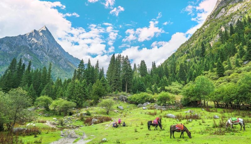 Upper-and-Lower-Ganhaizi-01 Upper-and-Lower-Ganhaizi-01