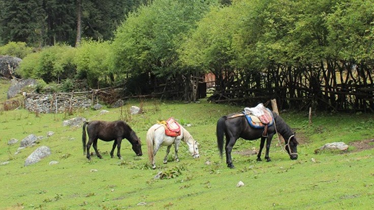 Upper-and-Lower-Ganhaizi Upper-and-Lower-Ganhaizi