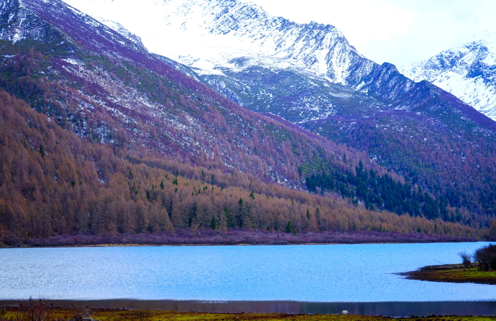 Xiniu-Hai-01 Xiniu-Hai-01