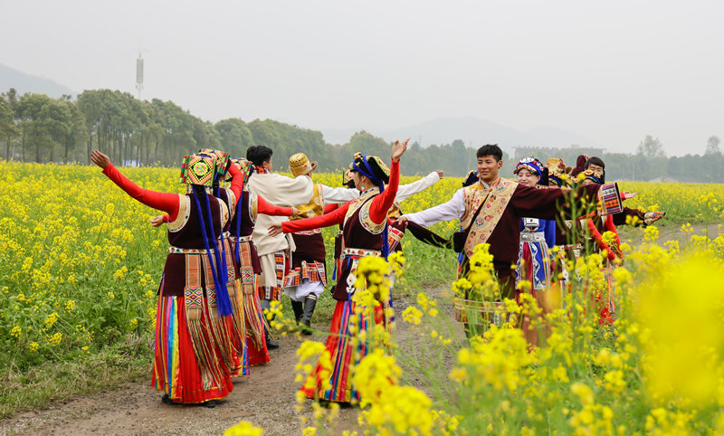 Flower-Appreciation-Festival Flower-Appreciation-Festival