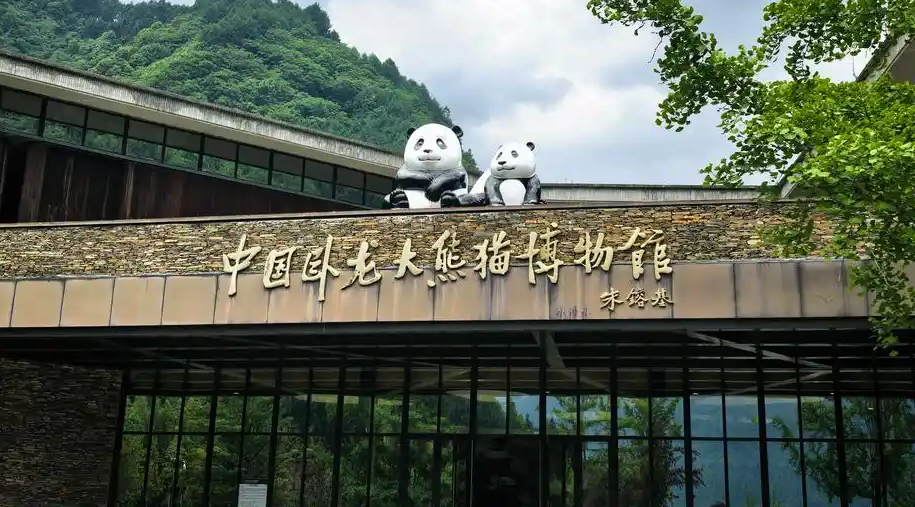 Giant-Panda-Museum Giant-Panda-Museum