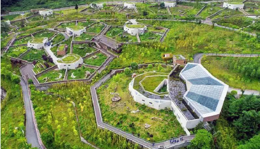 Wolong-Giant-Panda-Nature-Reserve Wolong-Giant-Panda-Nature-Reserve