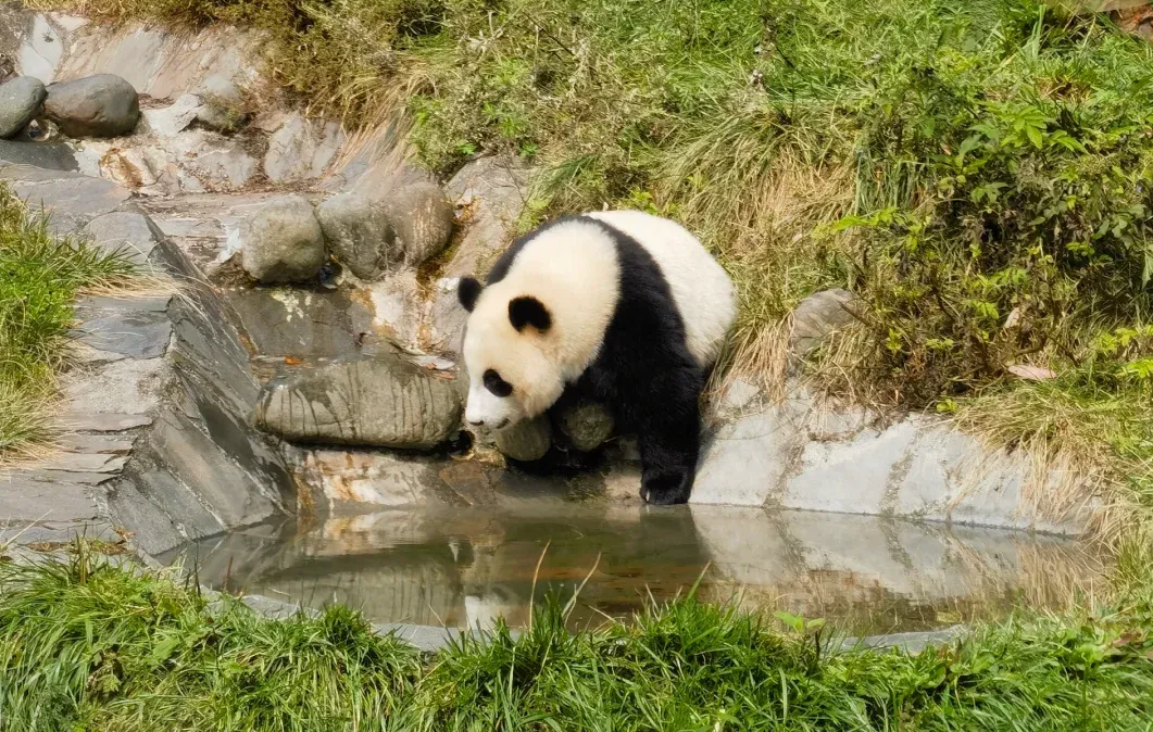 Outer-Ring-Venues-1-6 Outer-Ring-Venues-1-6