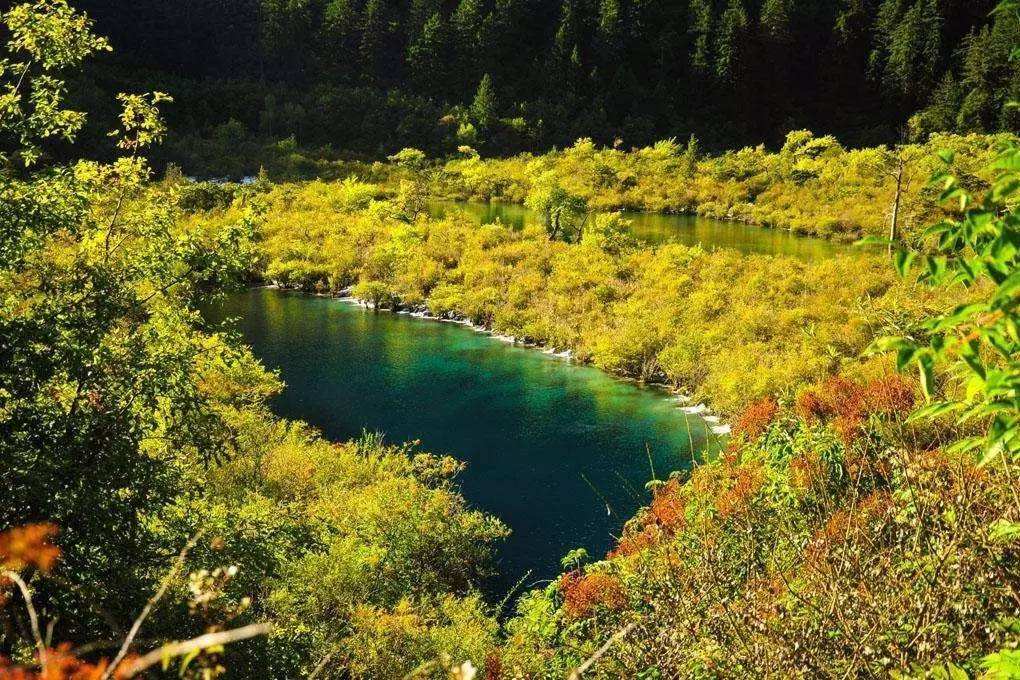 Plant-Diversity-Area Plant-Diversity-Area