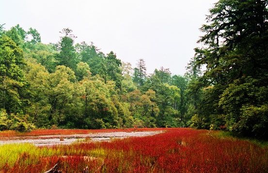 Caohaizi-01 Caohaizi-01