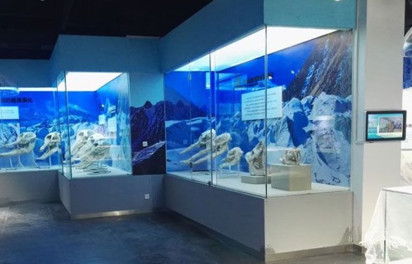 Hailuogou-Glacier-Museum-01 Hailuogou-Glacier-Museum-01