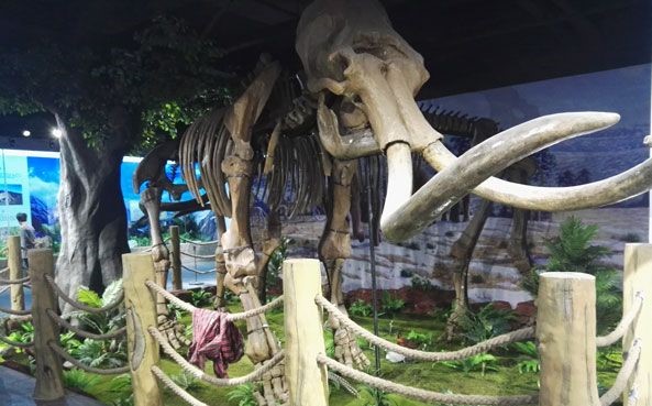 Hailuogou-Glacier-Museum Hailuogou-Glacier-Museum