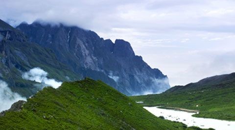 Haizidang-01 Haizidang-01