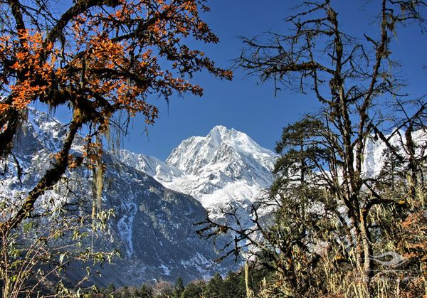 Laoguanjing-Tai-01 Laoguanjing-Tai-01