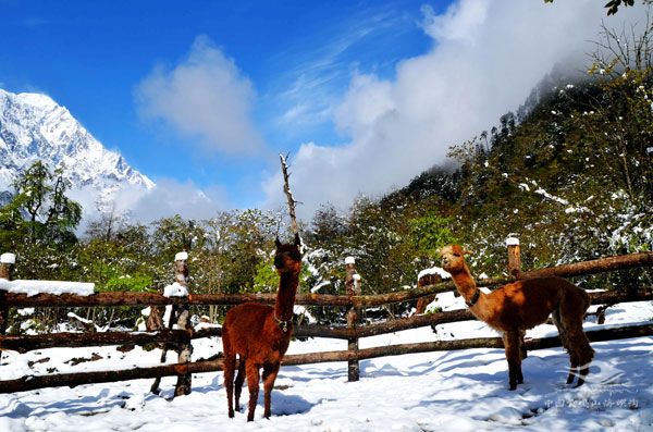 Luoke-Ranch-01 Luoke-Ranch-01