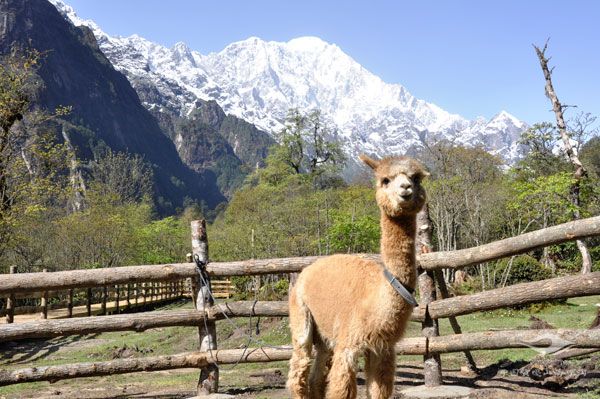 Luoke-Ranch Luoke-Ranch