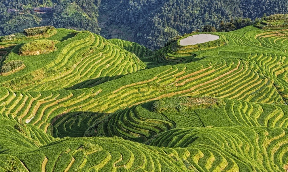 Longji-Rice-Terraces-Hiking-Experience-01 Longji-Rice-Terraces-Hiking-Experience-01