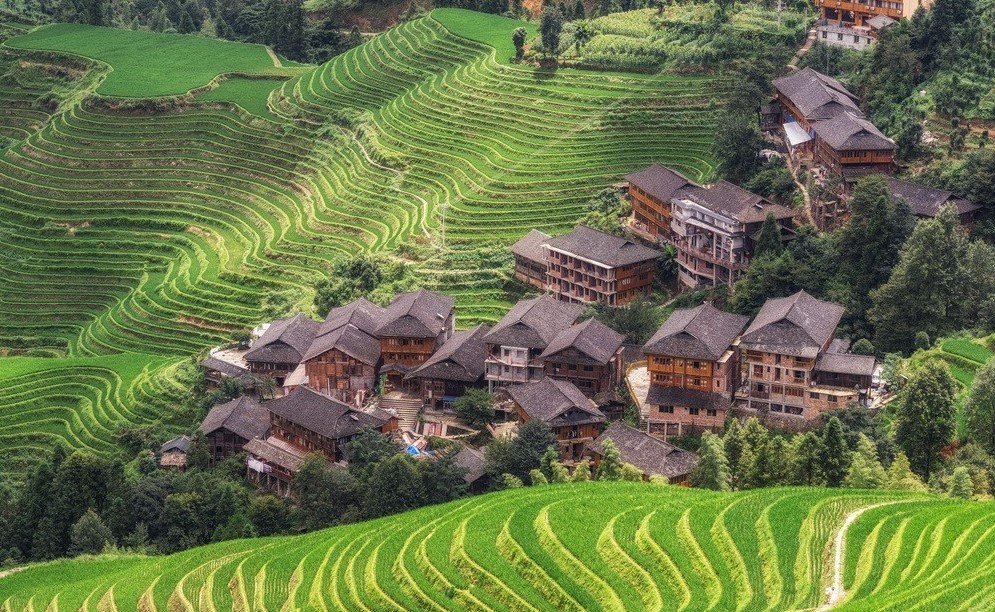 Longji-Rice-Terraces-Hiking-Experience Longji-Rice-Terraces-Hiking-Experience