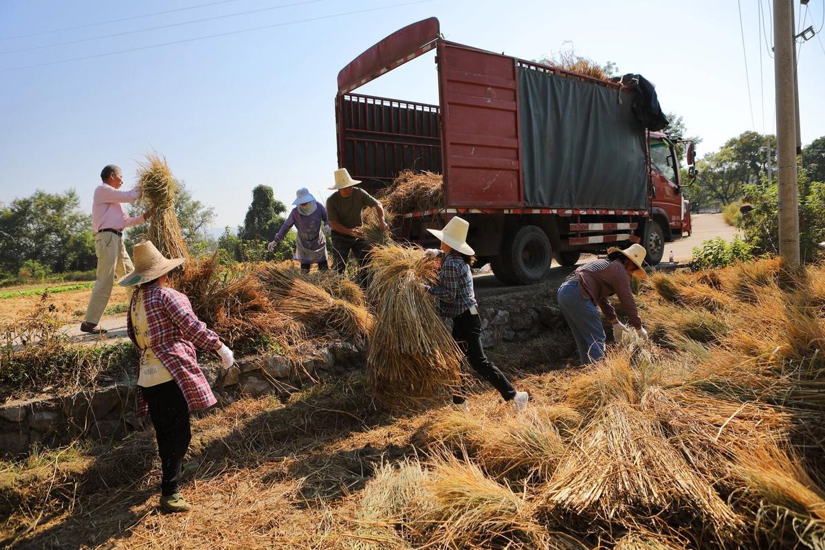 East-Li-Ancient-Village-Tofu-Skin-Making-Farming-Experience-01 East-Li-Ancient-Village-Tofu-Skin-Making-Farming-Experience-01