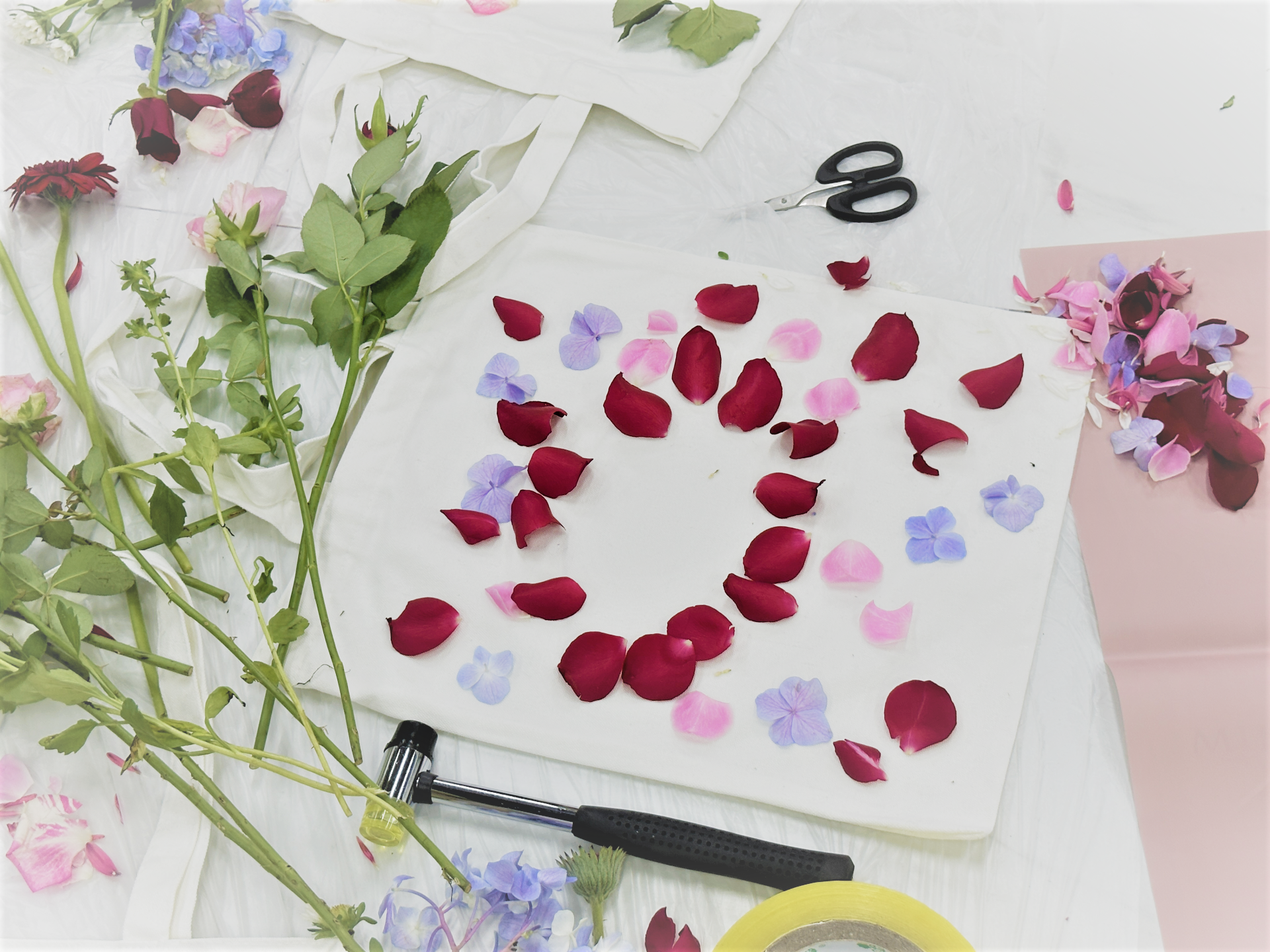 Water-Forest-Buyei-Plant-Rubbing-Ecological-Walk-01 Water-Forest-Buyei-Plant-Rubbing-Ecological-Walk-01