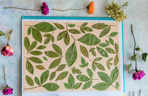 Water-Forest-Buyei-Plant-Rubbing-Ecological-Walk Water-Forest-Buyei-Plant-Rubbing-Ecological-Walk