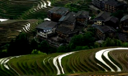 Longji-Rice-Terraces