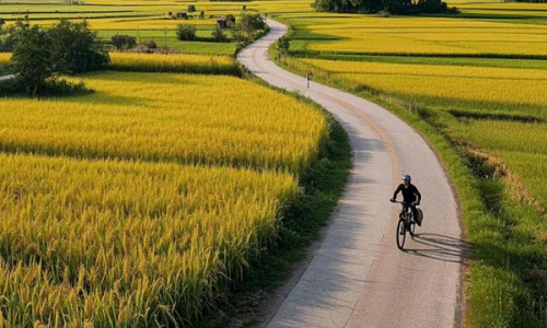 Shili-Hualang-3 Shili-Hualang-3