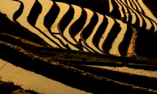 Longji-Rice-Terraces-1