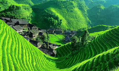 Longji-Rice-Terraces-5