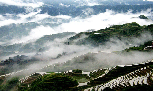 Longji-Rice-Terraces-10