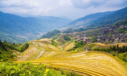Longji-Rice-Terraces-14