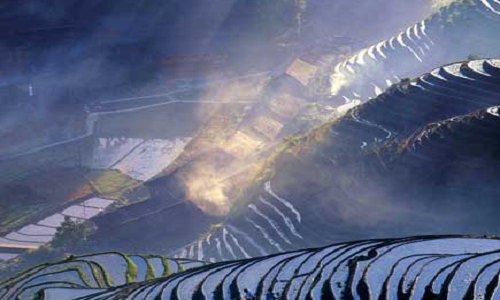 Longji-Rice-Terraces-20