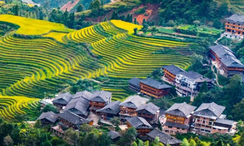 Longji-Rice-Terraces-11