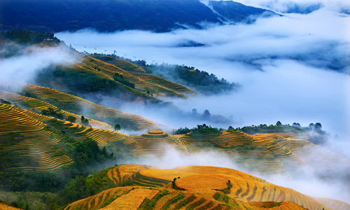 Longji-Rice-Terraces-15