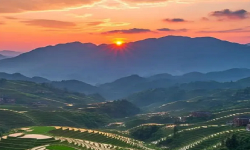 Longji-Rice-Terraces-25