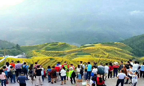 Longji-Rice-Terraces-31