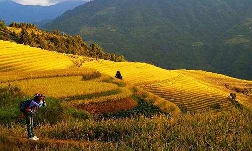 Longji-Rice-Terraces-18